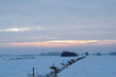 Een weidse winterse blik over de landerijen hier in de provincie Drenthe.