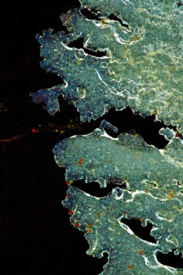 Nature picture:  / Satelliet foto / 