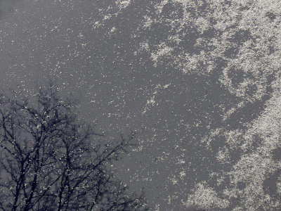 Nature picture:  / Motsneeuw / 