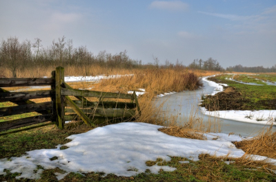 Nature picture:  / Hek en sloot / 