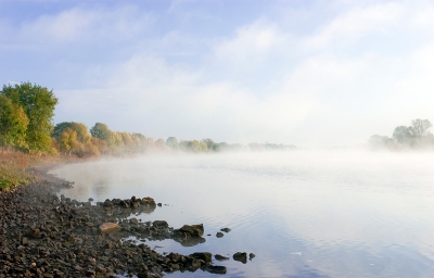 Nature picture: 1. Maas nabij Steyl