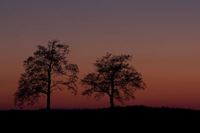Nature picture: 1. Avondrood