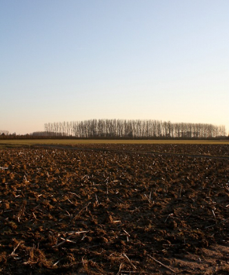 Nature picture: Landschap / Landschap / 