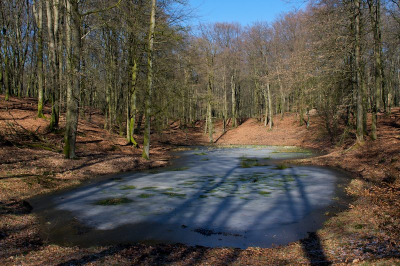 Nature picture:  / Solse Gat / 