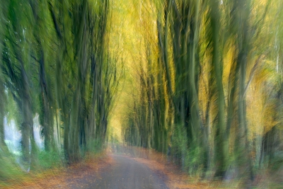 Een beetje druilerig weer nodigde uit voor wat blur-experimenten vanuit een rijdende auto (mijn vrouw achter het stuur) om met artistieke kleuren  weergave te experimenteren. Een drietal resultaten.