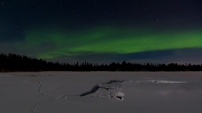 Aurora borealis / Noorderlicht / Northern Light