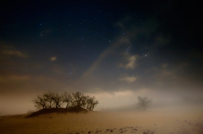  / Loonse en Drunense Duinen / -