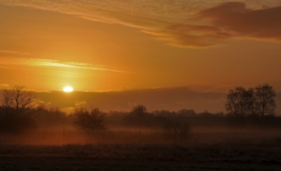 Nature picture: Ochtendsfeer-2 / Ochtensfeer-2 / 