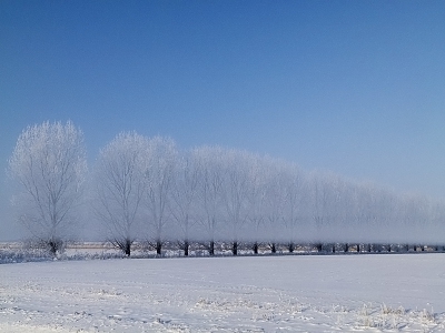 4.  / Winterlandscape / Winterlandscape