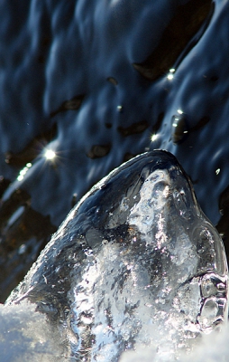 Nature picture:  / IJs / 