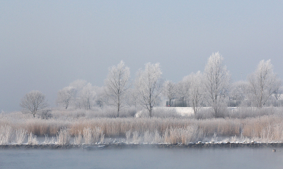  / De griend / 
