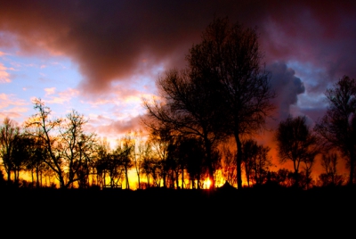 Na thuis gekomen van me werk tegen vier uut zag ik dat het wel eens een mooie zonsondergang kon worden. Snel in de auto naar Makkum en op tijd nog mee kunnen maken hoe hij onderging

Gr sam