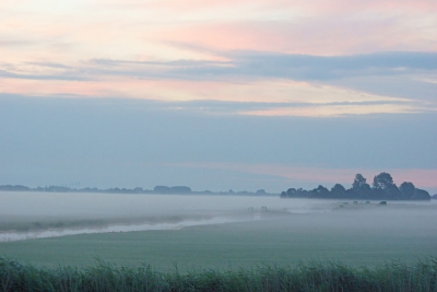 zonsopkomst bij schermerhorn,met de witte wieffen in het veld,de prachtige mist!