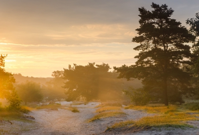 Toen de grondmist nog net niet was opgelost kwam de zon er even doorheen. Juist als er veel wolken zijn dan is het licht extra dramatisch.