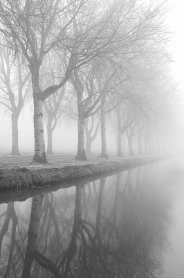 het waren prachtige dagen met al die mist, normaal gesproken vind ik dit altijd al een mooie bomenrij, en dan met de mist erbij vind ik het helemaal mooi!