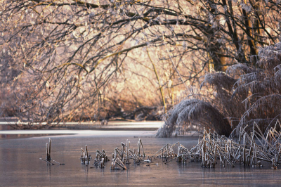 <i class='fa fa-user'></i> Arjen | Winterlandschap  <i class='fa fa-eye'> 269</i>   <i class='fa fa-comment-o'> 7</i>