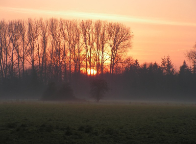 <i class='fa fa-user'></i> Jacob-Carl Pauw | Zonsondergang bij opkomende avondnevel  <i class='fa fa-eye'> 127</i>   <i class='fa fa-comment-o'> 4</i>