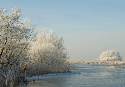 <i class='fa fa-user'></i> Tim Oord | Winterlandschap  <i class='fa fa-eye'> 170</i>   <i class='fa fa-comment-o'> 3</i>