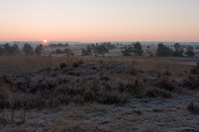 <i class='fa fa-user'></i> Joop Gerretse | De eerste zichtbare zonsopkomst van 2008  <i class='fa fa-eye'> 144</i>   <i class='fa fa-comment-o'> 6</i>