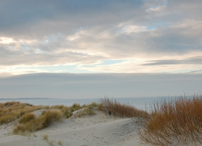 <i class='fa fa-user'></i> Johan van Gurp | Noordzee  <i class='fa fa-eye'> 149</i>   <i class='fa fa-comment-o'> 6</i>