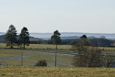 <i class='fa fa-user'></i> martine | Landschap in de Ardennen  <i class='fa fa-eye'> 125</i>   <i class='fa fa-comment-o'> 4</i>