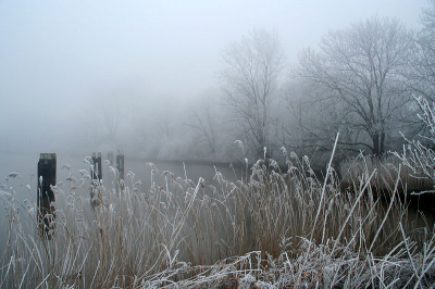 <i class='fa fa-user'></i> Arie T. van Werkhoven | Winter langs de IJssel 3  <i class='fa fa-eye'> 179</i>   <i class='fa fa-comment-o'> 4</i>