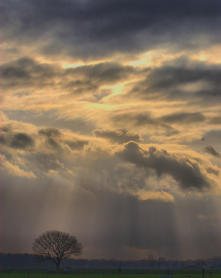 <i class='fa fa-user'></i> Erik van den Ham | Landschap met solitaire boom  <i class='fa fa-eye'> 209</i>  <i class='fa fa-thumbs-up'> 1</i>   <i class='fa fa-comment-o'> 10</i>