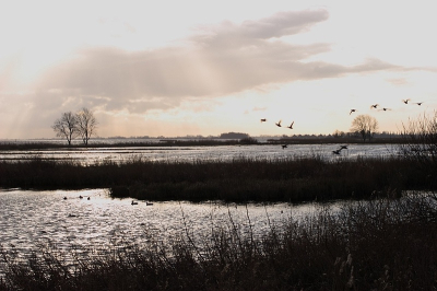 <i class='fa fa-user'></i> Ian Borwell | Tegenlicht op het Snekermeer  <i class='fa fa-eye'> 93</i>   <i class='fa fa-comment-o'> 1</i>