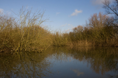 <i class='fa fa-user'></i> Antonie Blom | Biesbosch  <i class='fa fa-eye'> 102</i>   <i class='fa fa-comment-o'> 1</i>