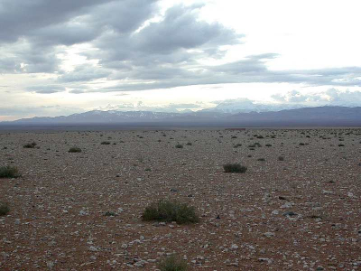 Schitterende verzichten daar... Het is een enorm groot gebied met alleen vegetatie zoals je hier ziet. Het is er wel ijzig koud (wat je niet zou zeggen voor de Sahara). Op de achtergrond enkele bergen van de Atlas. Dit is mijn eerste foto hier, hij is getrokken met een (kapotte) coolpix 4500.