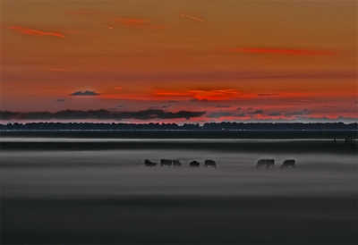 Zonsondergang met grondmist in de Zeevang.
Ik was opzoek naar een landschapfoto voor een andere site en vond deze plaat in het archief.
Dus dacht ik ach ik zet hem ook op Nederpix.
Misschien is het helemaal niks, maar dan hoor ik het wel of ik hoor niets.

Groet henny.