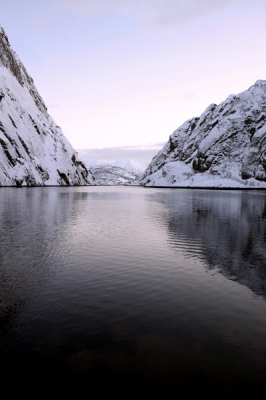 Even terug van weggeweest... in deze tijden van recessie een baan vinden was niet niks.. en toch gelukt! Met een beetje doorzettingsvermogen....

Ik neem jullie kort nog even mee terug naar de Lofoten. Trollfjord heeft verschillende diepten; de doorvaart is slechts 4 meter diep (het schip kwam tot 3,5 meter diep). Erg rustig varen dus, maar wel alle kans om dit eens fotografisch uit te werken! Het weer was rustig en kalm, bijna spiritueel kalm!