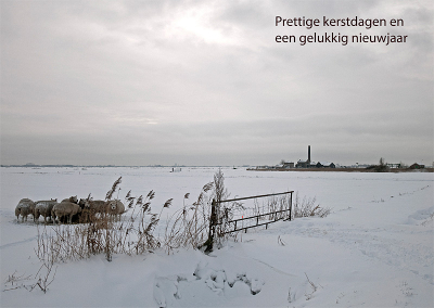 Gisteren wezen fotograferen in de Arkemheem polder (nu mijn achtertuin). Deze foto vond ik wel geschikt als kerstkaart.