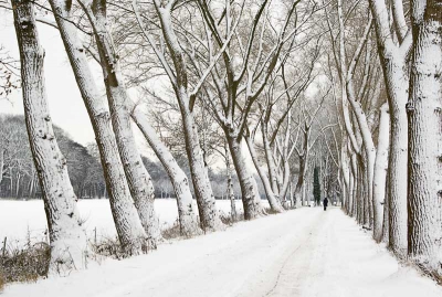 Bewolkte dag met veel sneeuw. Het lijkt een foto omgezet in sepia tinten. Dit is echter niet het geval.