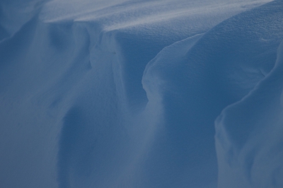 Overal rondom de plek waar ik woon zijn de sloten vol gewaaid met sneeuw. Uitermate geschikt om er eens een detail opname van te maken.