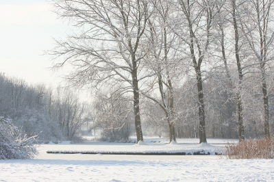 Nog een van de wintersfeer van zondag in het natuurgebiedje de Weel.