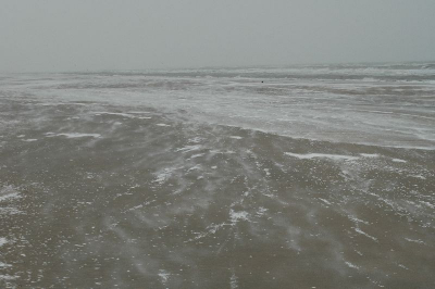 In de ijzige kou en Siberische toestanden de jachtsneeuw proberen vast te leggen.