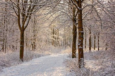 Het mooie van deze foto vind ik het licht dat precies op het paadje valt. 
Wat was het genieten.