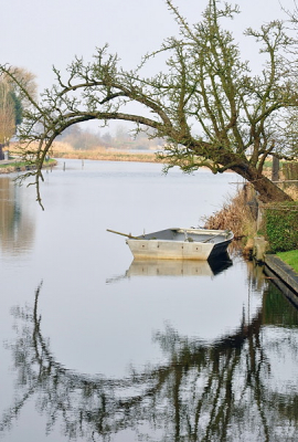Als nieuw actief lid ook maar eens een landschapsplaatje uploaden. Als tegenhanger van de winterplaatje eentje uit vroege voorjaar, bij een zacht voorjaarszonnetje, zachte tinten dus.