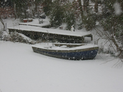 Deze foto  is genomen in een sneeuwbui met de canon powershot A580 ik ben benieuwd naar jullie reacties .