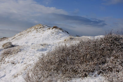 Een heerlijke periode om de duinen in te trekken. We hebben maar zelden zo'n lange en mooie sneeuwperiode. Ruimschoots gelegenheid om er een uitgebreide fotoserie van te maken.