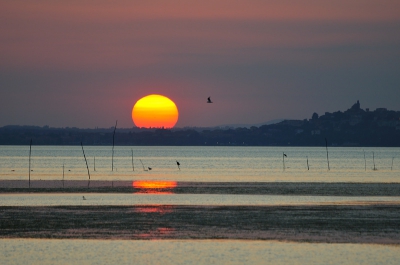 Prachtige zonsondergangen in hartje zomer (warm!) in midden-Italie. Heel wat prachtige opnames gemaakt (vind ik zelf). Dit is er een van.