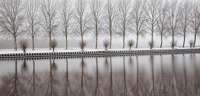 Het was mistig en in het kanaal zag ik de spiegeling van deze bomenrij. Aan de stammen zat nog wat sneeuw. 
Vond het een mooi ritmisch beeld.