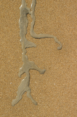 Een al wat oudere foto (2006, 2005 in exif klopt niet).  Op de rand van (klei)rotsen in Normandie en strand, waar water, klei en zand samen iets moois weten te maken.... Ik heb geen idee of jullie dit mooi vinden, ben benieuwd.