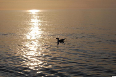 Op het strand Renesse wachten op een mooie zonsondergang was zeker de moeite waard.