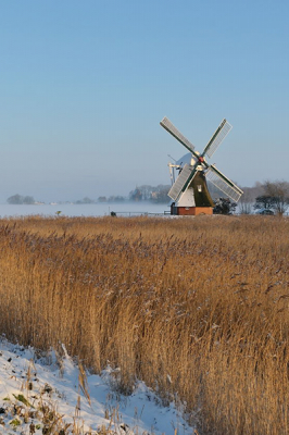 Bij mooi licht deze opname gemaakt. Ik vond het riet mooi afsteken bij de lucht.
