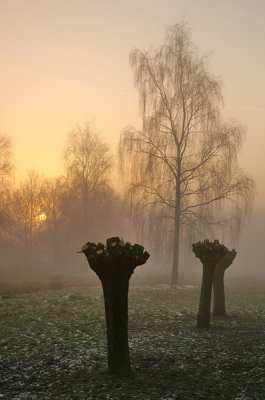Een foto uit een vorige winter. Een heiige zonsopkomst, rond de kerstdagen.