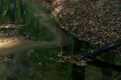 bewolkte, droge dag in oktober bij de hierdense beek. de eerste keer dat ik met grijsfilter stoeide. erg leuk om te doen. kom er zeker nog eens terug.