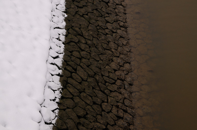 Gisteren wat foto's gemaakt bij Den Oever. Vlak bij het begin van de afsluitdijk kwam ik deze situatie tegen (sneeuw en 2 verschillende bruin tinten).