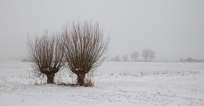 Een dag met sneeuw en mist. Zal het gaan dooien...?